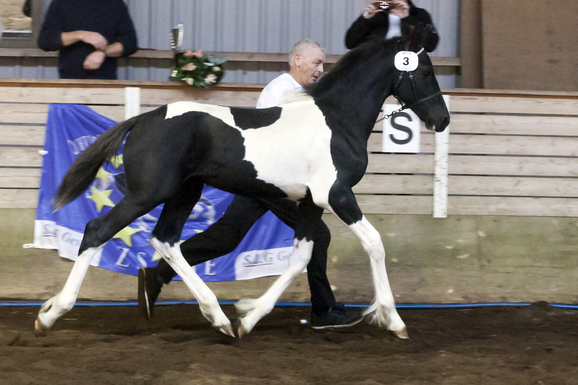 hc-horses opposites Playboy hc-horses opposites Playboy