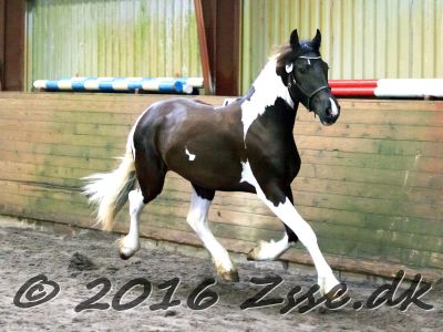 Aldina Von Diego-026
