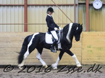 Lancelot-Rideprøve-019