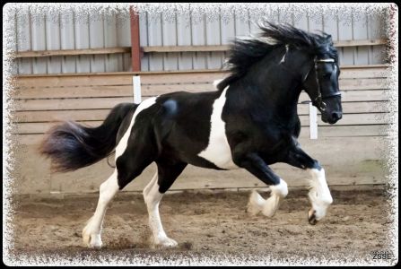 Lancelot