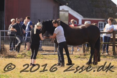 Mønstring D. 10-09-2016 (57)