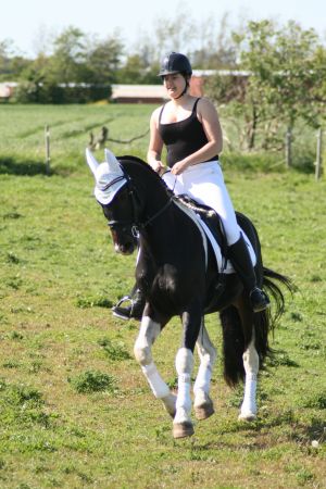 Obelix9